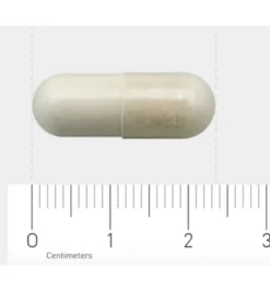 Aov 804 Boswellia Extract (60 vega capsules)