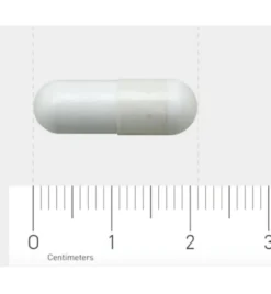 AOV 550 Calcium magnesium pidolaat (90 vega capsules)