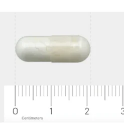 AOV 502 Calcium pyruvaat (60 vega capsules)