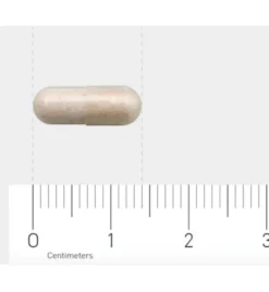 Aov 1201 Probiotica 4 Miljard (60 vega capsules)
