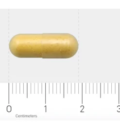 Aov 830 Saffraan & L-Theanine (30 vega capsules)
