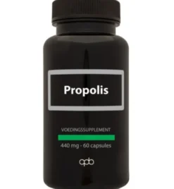 Apb Holland Propolis 400Mg Puur (60 vega capsules)