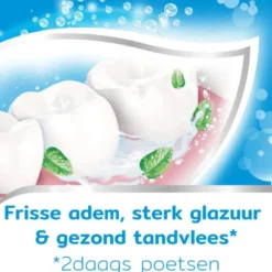 Aquafresh Tandpasta Fresh & Minty (75 ml)