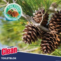 At Home Toiletblok 3-in-1 Dennenboom (1 stuk)