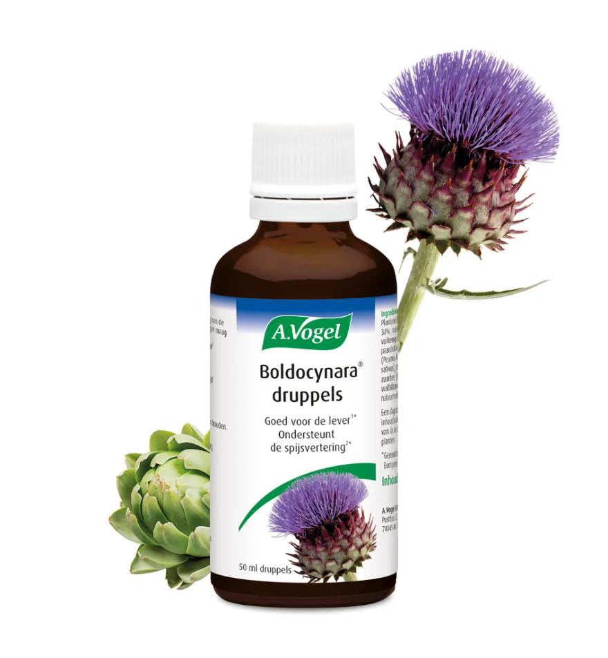 A.Vogel Boldocynara druppels (50 ml)