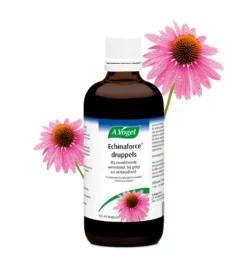 A.Vogel Echinaforce Druppels (100 ml)