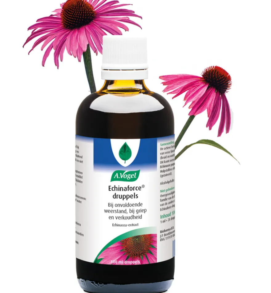 A.Vogel Echinaforce Druppels (100 ml)