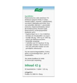 A.Vogel Echinaforce junior & vitamine C (80 kauwtabletten)