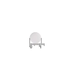 A.Vogel Echinaforce Sterk (60 Tabletten)