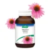 A.Vogel Echinaforce tabletten (350 tabletten)