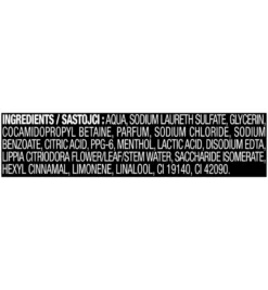 Axe Showergel ice chill (250 ml)
