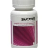 Ayurveda Health Shatavari (60 tabletten)