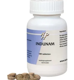 Ayurveda Indunam (100 tabletten)