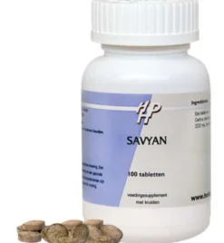 Ayurveda Savyan (100 tabletten)