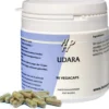 Ayurveda Udara (90 cp)