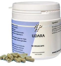 Ayurveda Udara (90 cp)