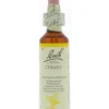 Bach Cerato/loodkruid (20 ml)