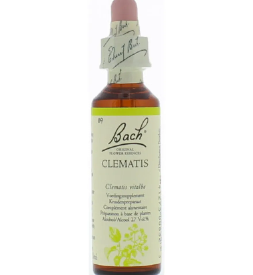Bach Clematis/bosrank (20 ml)