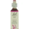 Bach Elm/iep (20 ml)