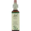 Bach Holly/hulst (20 ml)
