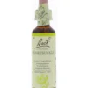 Bach Honeysuckle/kamperfoelie (20 ml)