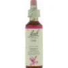 Bach Oak/eik (20 ml)