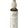 Bach Rock water/bronwater (20 ml)
