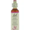 Bach Sweet chestnut/tamme kastanje (20 ml)