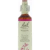 Bach Willow/wilg (20 ml)