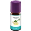 Baldini Gember Aroma (5 ml)