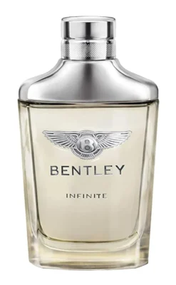 Bentley Infinite Eau De Toilette (100 ml)