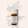 Bioflore Ravintsara Etherische Olie Bio (10 ml)