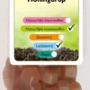 Boerjan Honingdrop (150 gr)