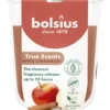 Bolsius Geurglas 80/73 True Scents Apple Cinnamon (1 stuk)