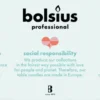 Bolsius Horeca Gotische Kaars 240/23 Doos 100 Zwart (100 stuks)