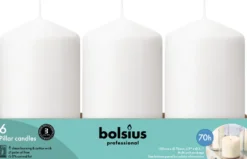 Bolsius Horeca Stompkaarsen 15/8 Wit (6 stuks)
