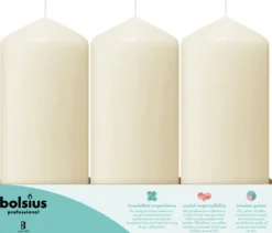 Bolsius Horeca Stompkaarsen 17/7 Ivoor (12 stuks)