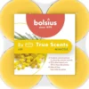 Bolsius True Scents Maxilichten Clear Cup Mimosa 8U (8 stuks)
