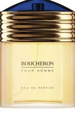 Boucheron Pour Homme Eau De Parfum (100 ml)