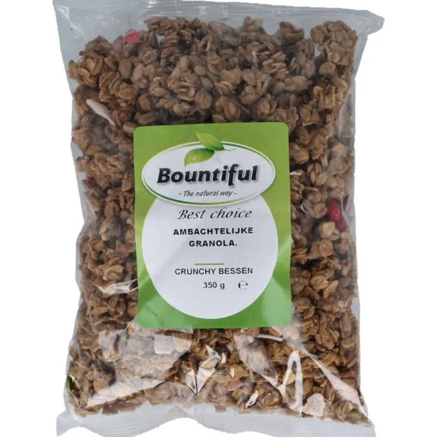 Bountiful Ambachtelijke Granola Krunchy Bessen (350 gr)
