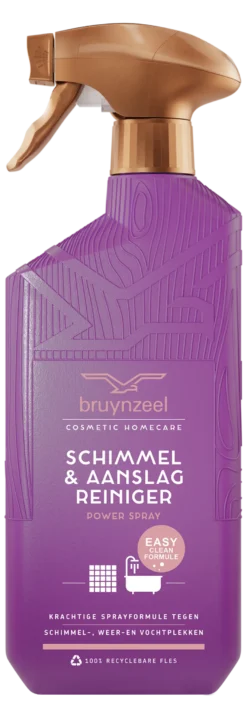 Bruynzeel Schimmel & Aanslagreiniger Powerspray (500 ml)