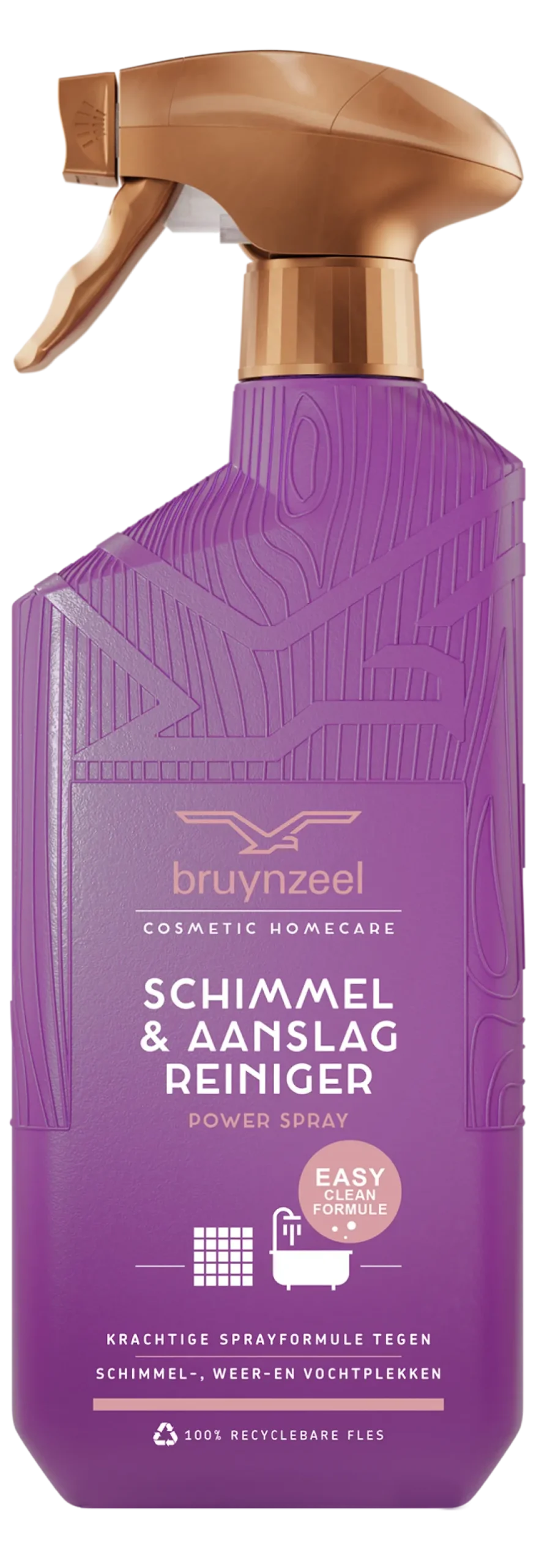 Bruynzeel Schimmel & Aanslagreiniger Powerspray (500 ml)