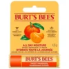 Burt’S Bees Lip Balm Sweet Mandarin (4,25 gr)