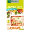 Damhert Lasagne Glutenvrij (250 gr)