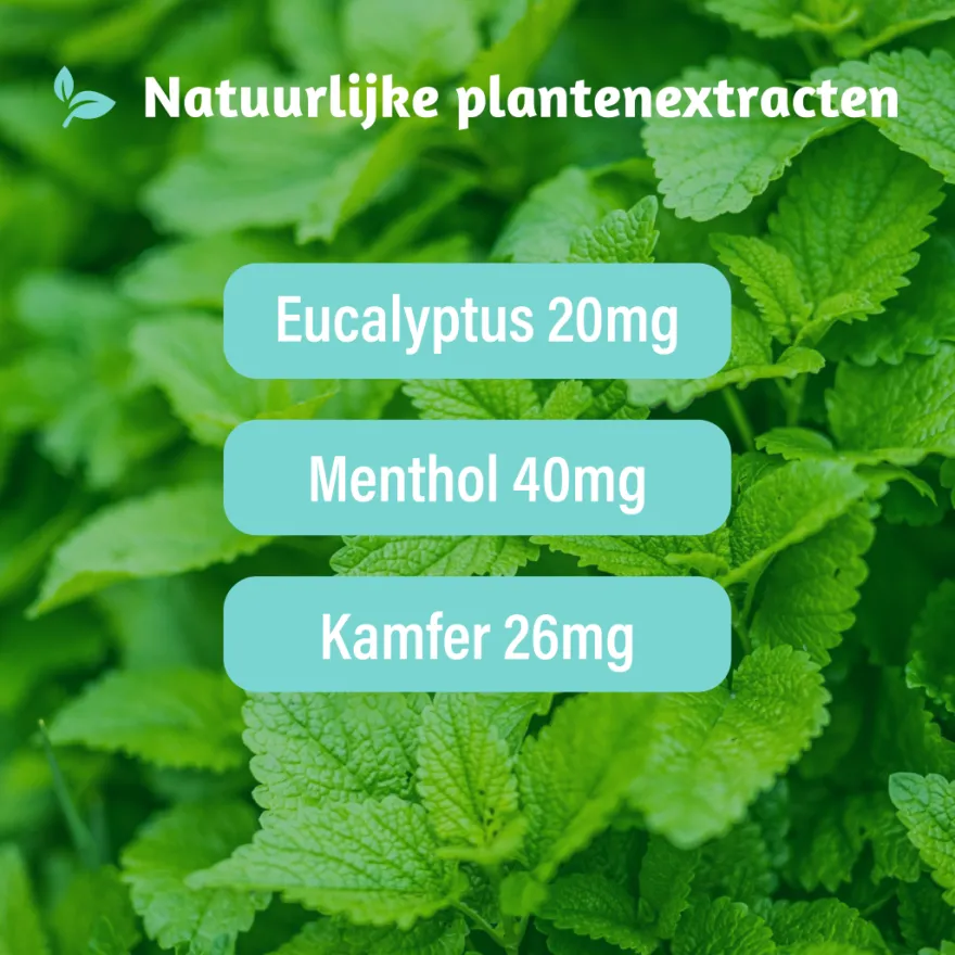 Dampo Verkoudheidsbalsem (30 gr)
