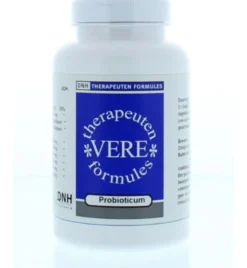 Dnh Probioticum (90 capsules)