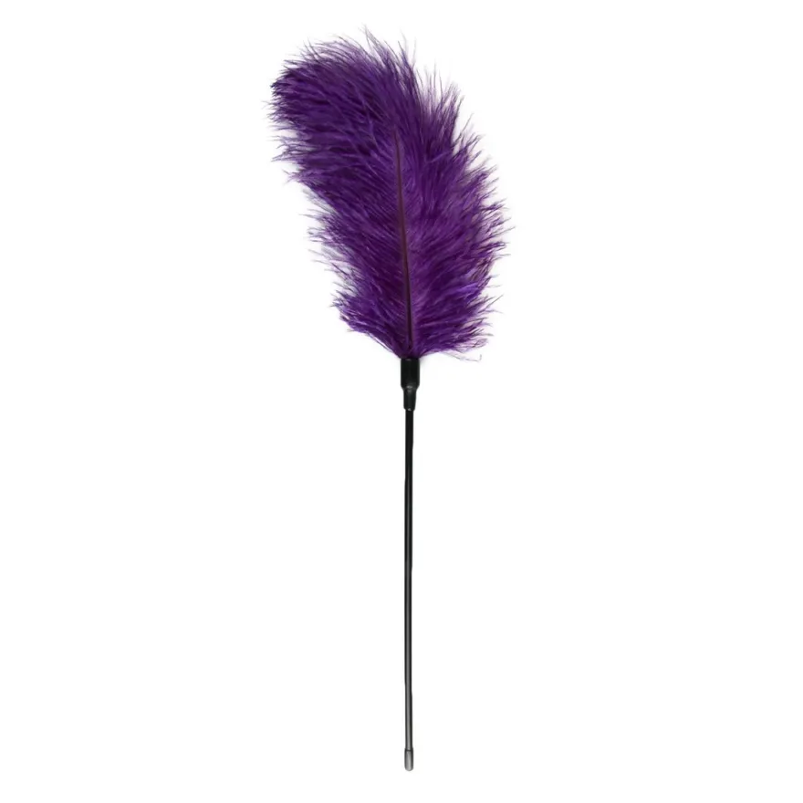 Easytoys Fetish Collection – Feather Tickler Paars (1 stuk)