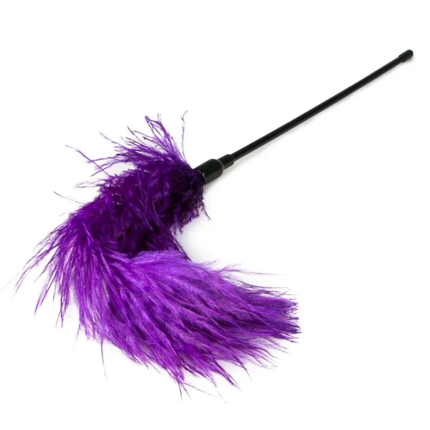 Easytoys Fetish Collection – Feather Tickler Paars (1 stuk)