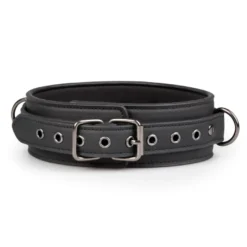 Easytoys Fetish Collection – Fetish Collar with Leash Zwart (1 stuk)