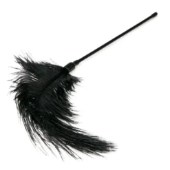 Easytoys Fetish Collection – Feather Tickler Zwart (1 stuk)